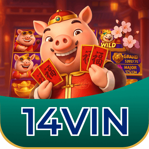 14VIN Logo